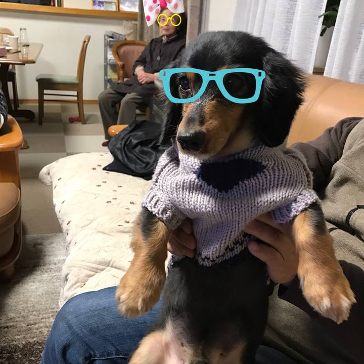 0dce24d5 d5b6 4396 bc70 0b202e78b313