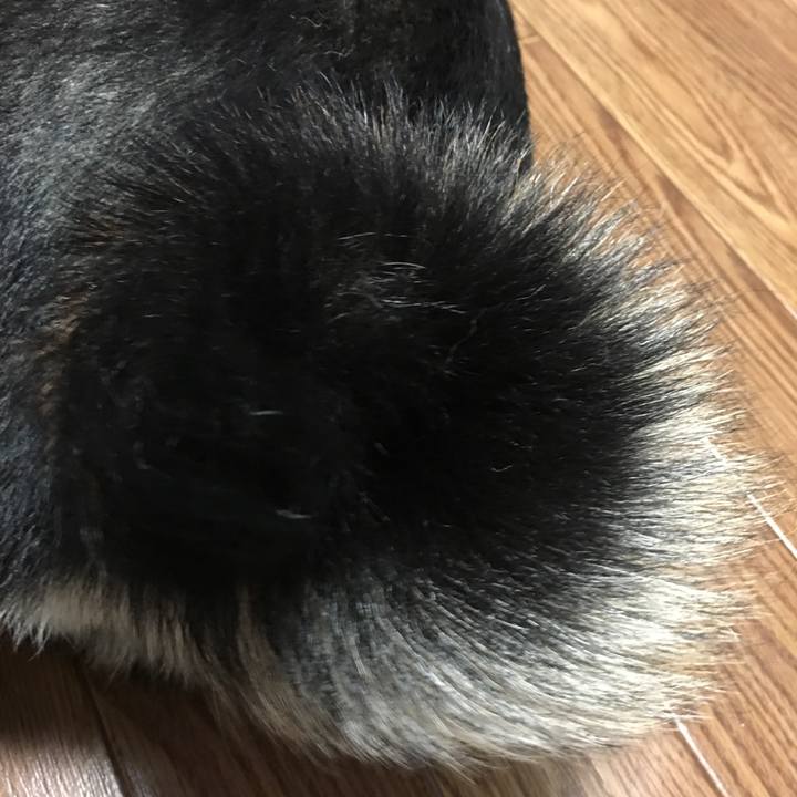 0dce7610 e596 4a29 8d5c b0bdbdee134d