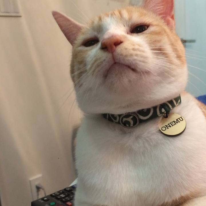 0dce82a2 beea 4beb 9839 7129781ad83a