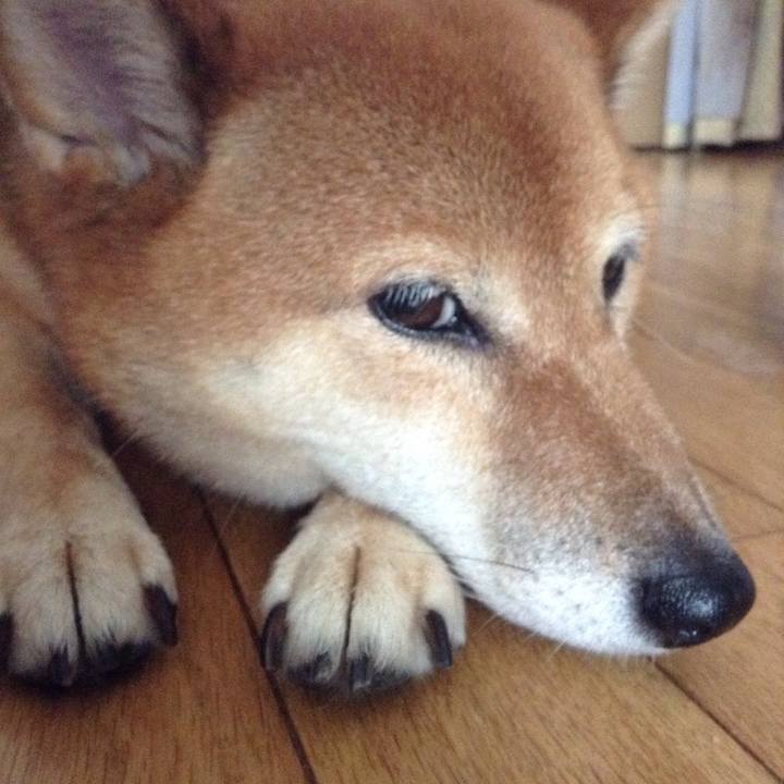 0dce8f2c 4ed3 4a2e a46a ee95e1ae9d49