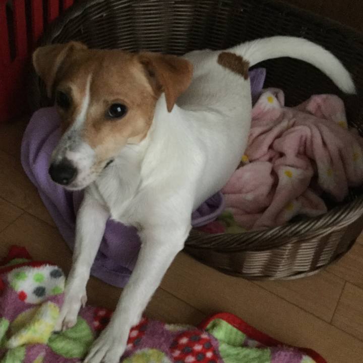 0dceb9a4 727a 4c20 b251 8ca461b5047c