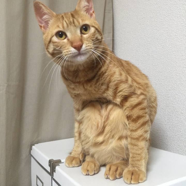 0dcf2471 b75f 4dca 893e 21781271189c