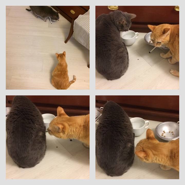 0dcf93cd 8817 487b a07f 9b21977c9f9f