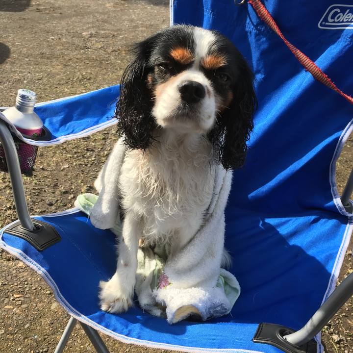 0dcfce97 98f0 4b32 a462 098e167b5e4e