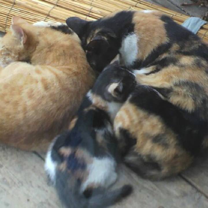 0dd02095 d7cf 4c82 9279 421c13c26478