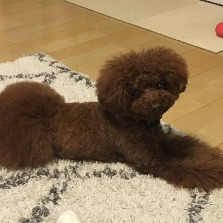 0dd07c3e 5c67 4cef 8ac1 5a0e3adbe997