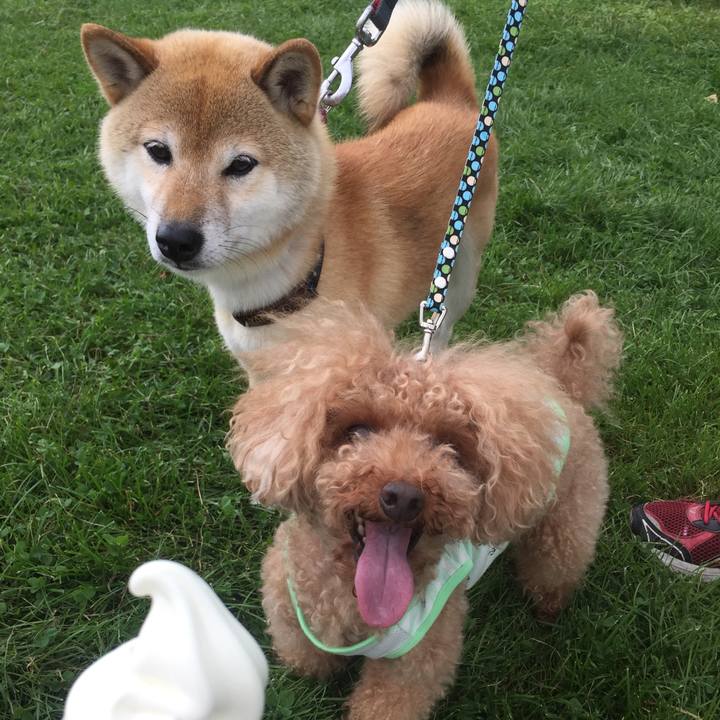 0dd0b9f8 66f4 4998 b40f 5b566f0f9815