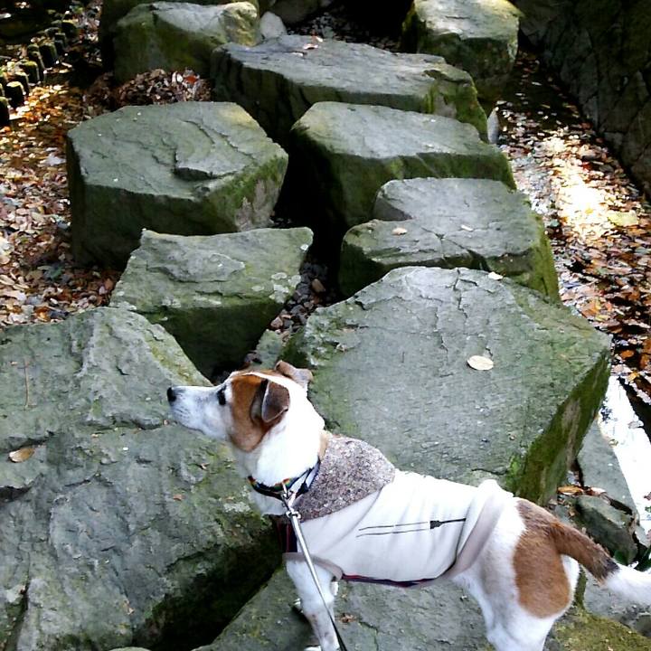 0dd151a4 f2f2 4461 9bb5 68e4ce3f2941