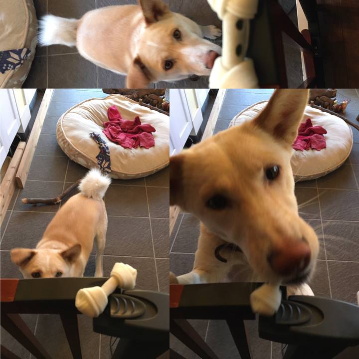 0dd15943 8135 4ff5 b734 1484e1055c0a