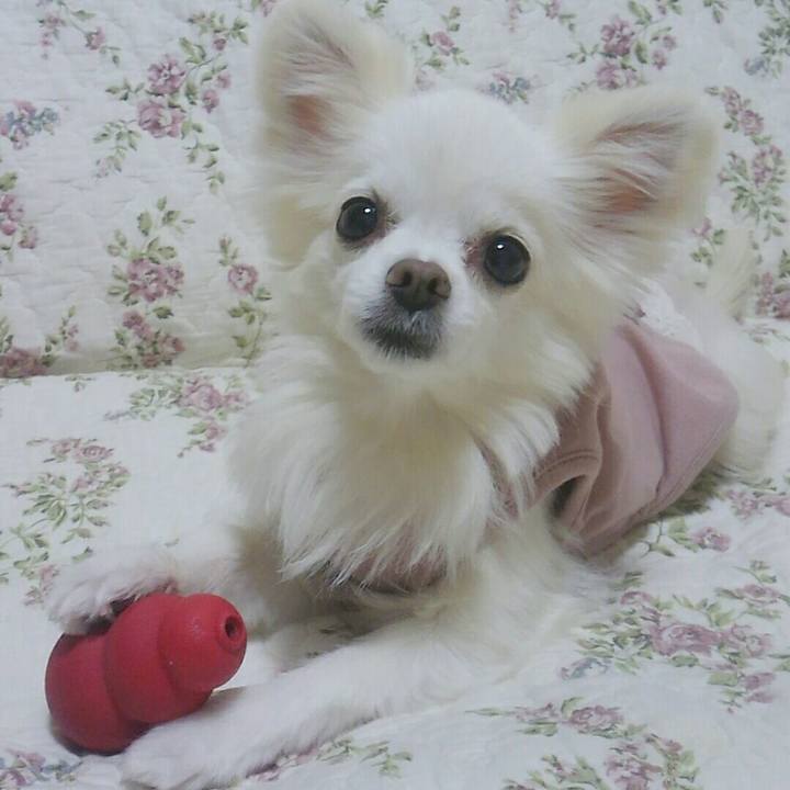 0dd20c09 03e7 490a ab45 840f55a9b9a8