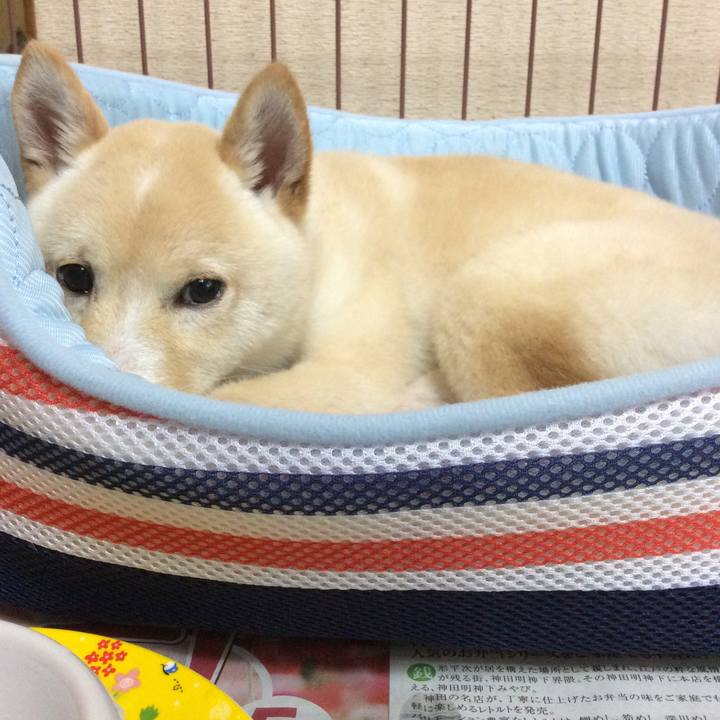 0dd32dfa f8cb 447d b291 60a26f2cebcc