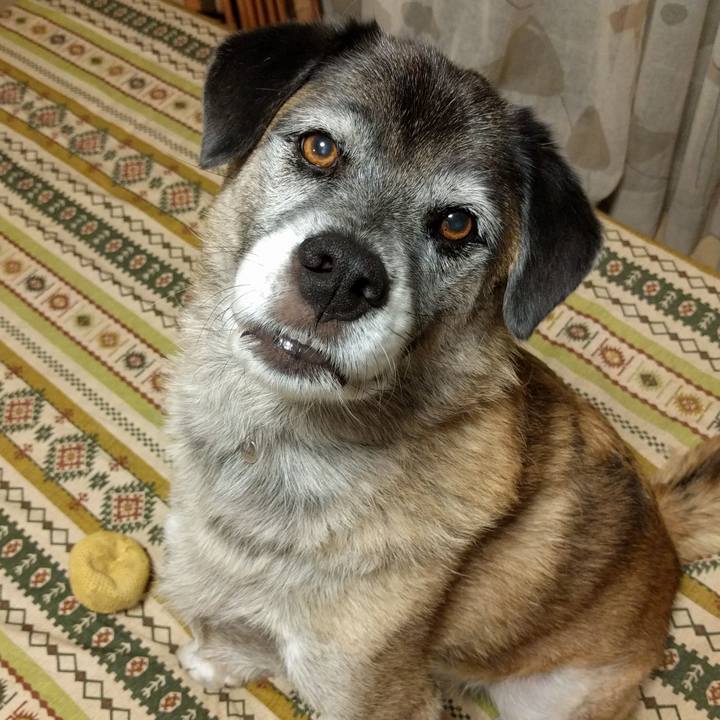 0dd3afc6 be1e 4a93 9e78 dae4ef9d92ba