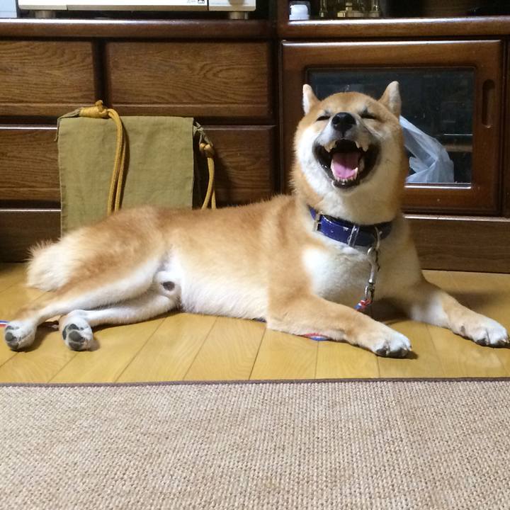 0dd3b696 eecf 4701 9dc2 f4894f416cb6