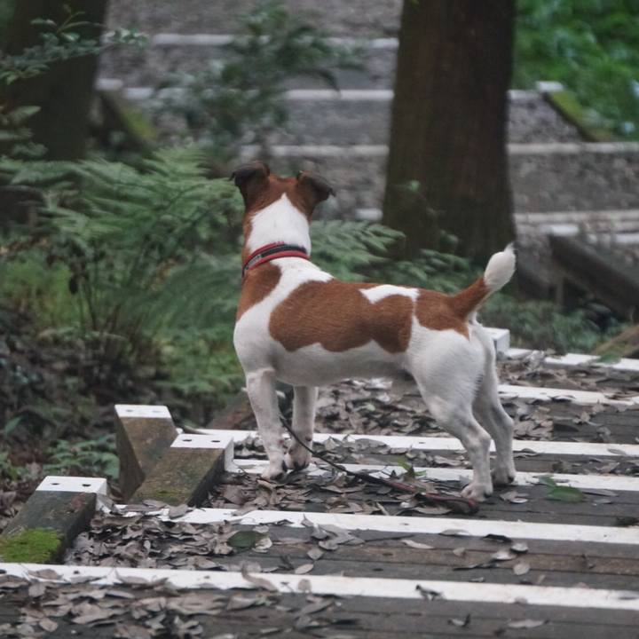 0dd41c1e f484 46b0 9ed7 88015c45df92