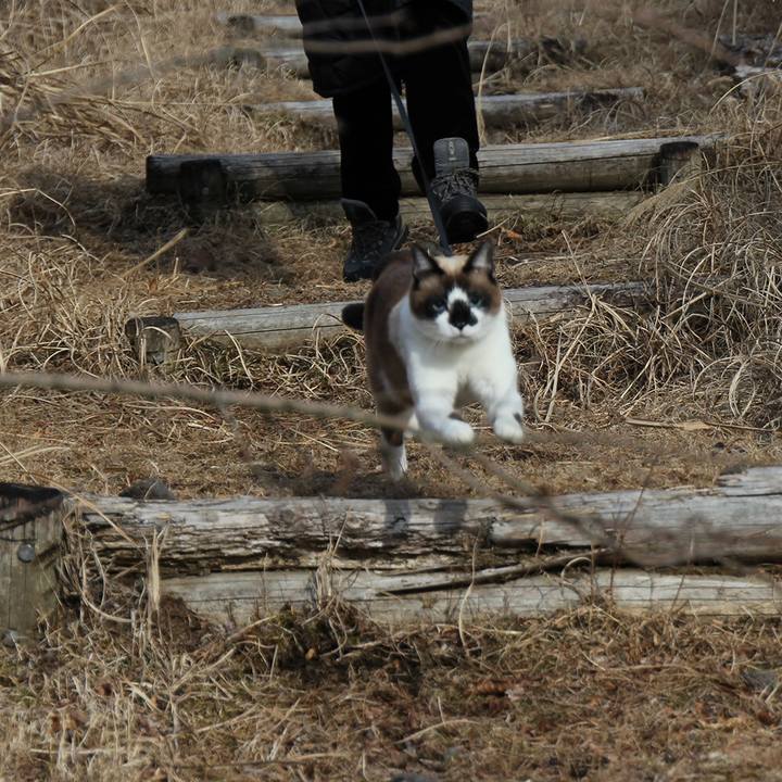 0dd49086 fcec 4f2d a62a 465ddf5cb6e9