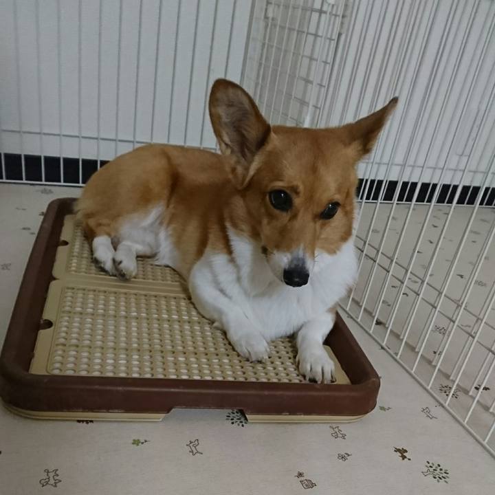 0dd4a2d8 30c9 42a5 8359 60490e910041