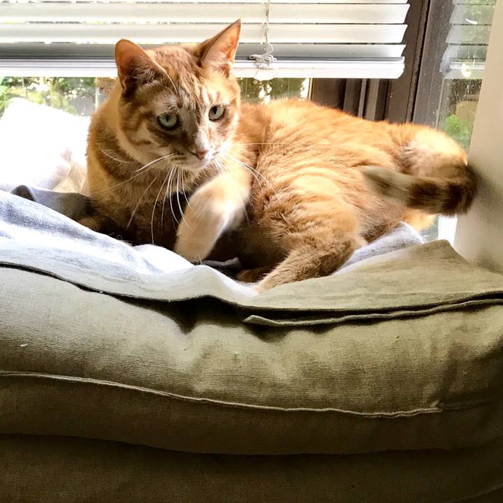 0dd4a2f2 e0b8 40f8 93ee 67f2d5d2aa9e