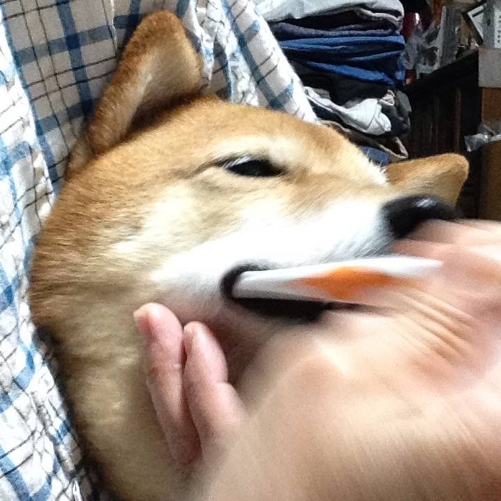 0dd4f344 9105 41fe 99f2 4bff951b449b