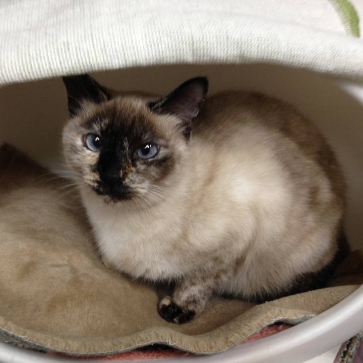 0dd5364e fc4f 4323 926a 62f72c1e211b