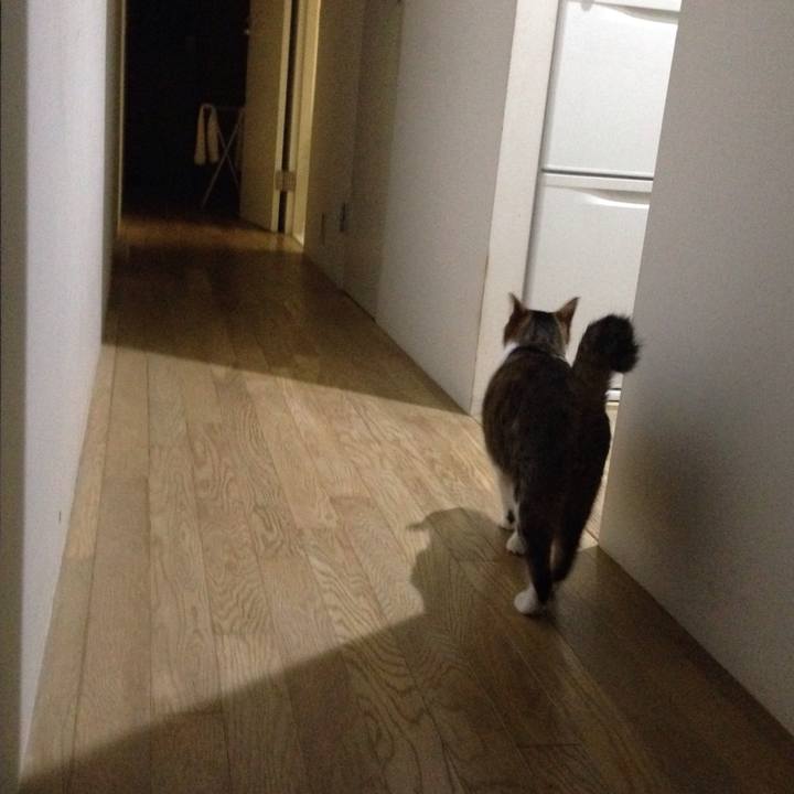 0dd55316 603e 4074 b652 fa399dae278a