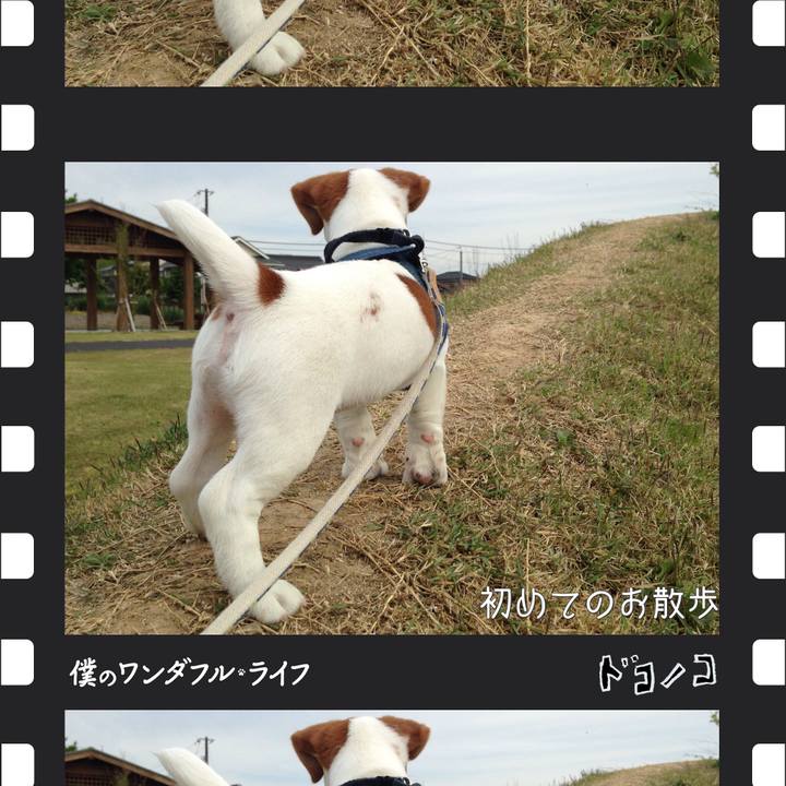 0dd5b5a2 0150 4b8e 9a95 5112807c5d80