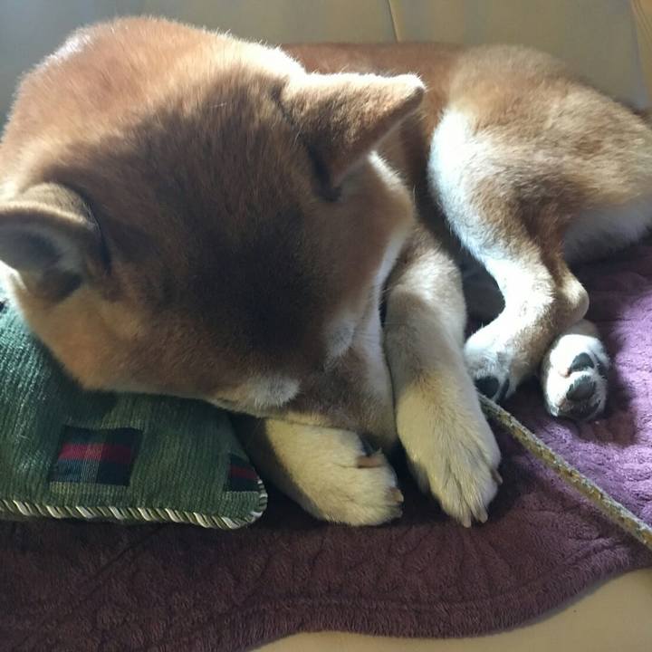 0dd5c5f7 9b6b 40ea 874c 0b9581bae91c