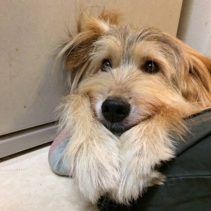 0dd5d69e 3cdf 4481 8913 77d8ed97e62d