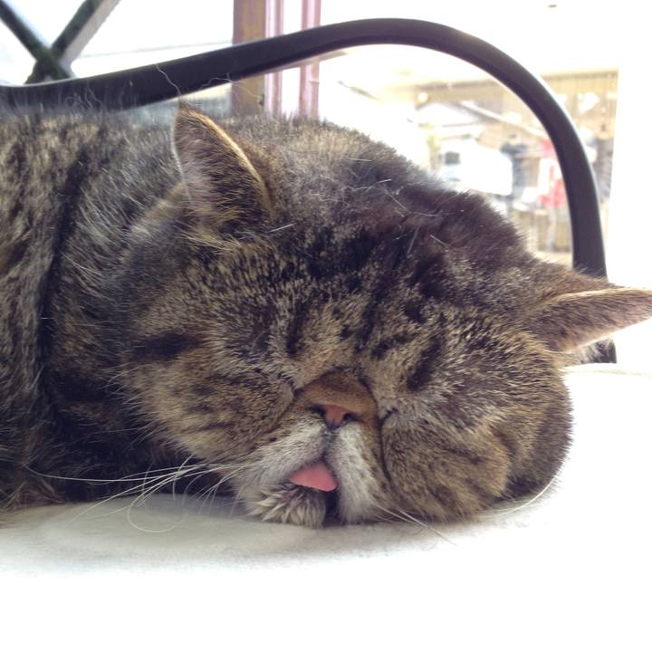 0dd7096d 5723 4a92 8772 4c3a19341c34