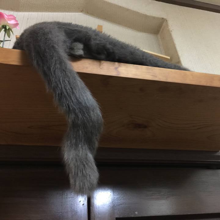 0dd7db72 8b50 4885 81c7 78109e9cbf0e