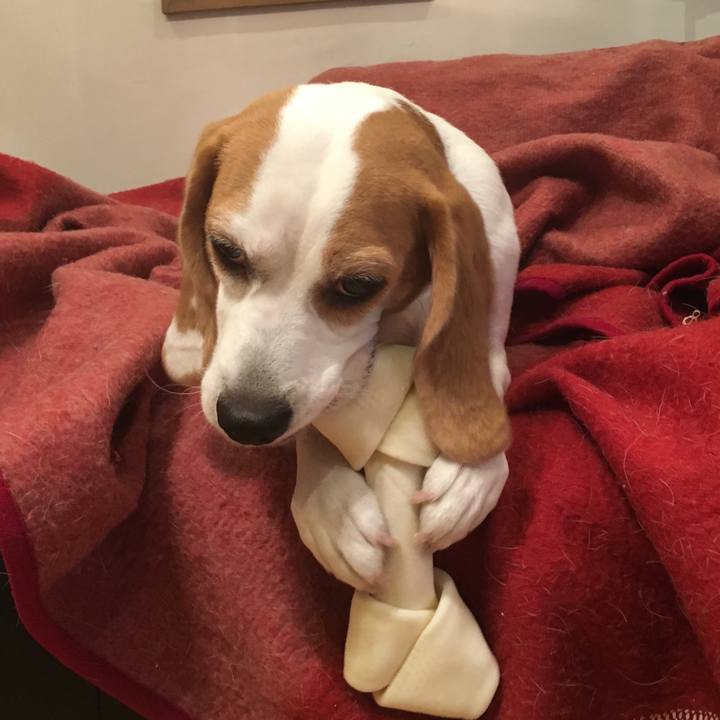 0dd81c66 27a6 4a4e b68c 8fba7d6f36a4