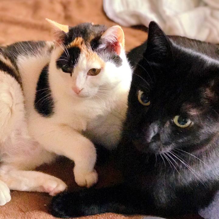 0dd8cb32 052c 47d8 9f13 352708408426