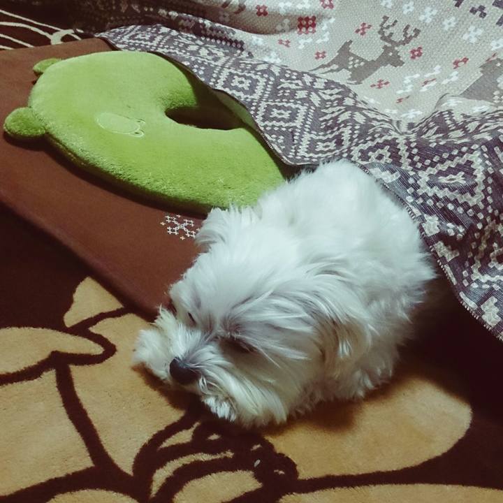 0dd94f87 0ef5 41e0 97da 330211034720