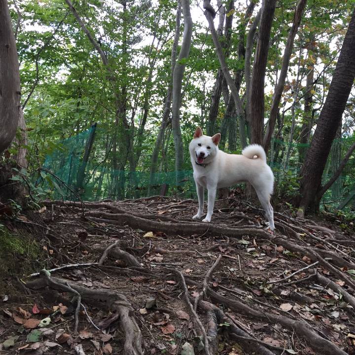 0dd974b7 888a 482c 9461 bbae73dc9224