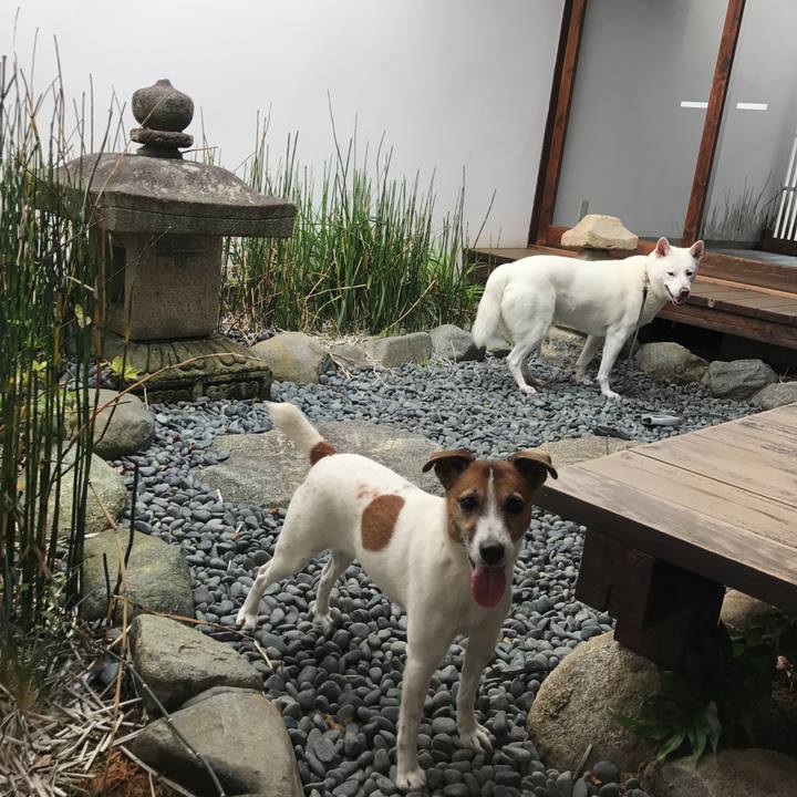 0ddaebcb 2e7f 4166 98a6 c0ebe8a2f9f2