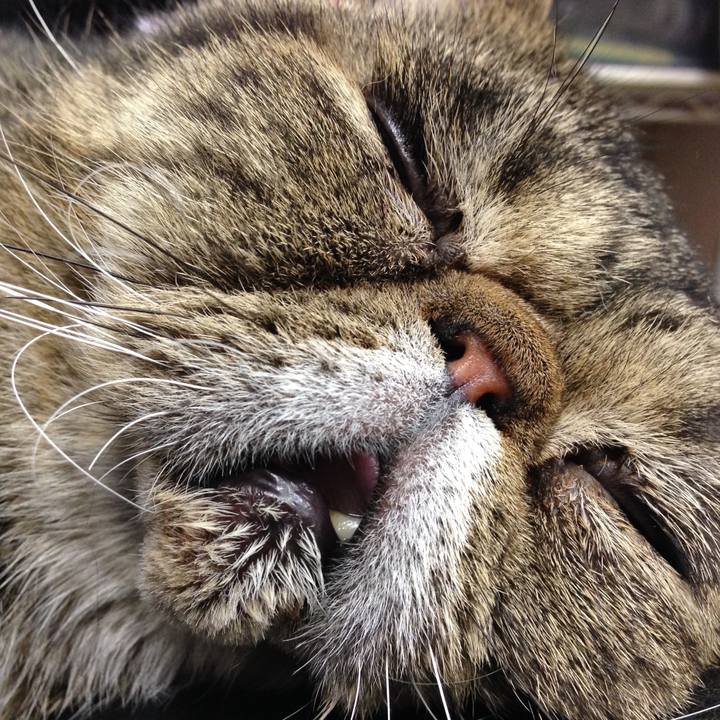 0ddb7fd2 5e24 4840 bbb6 d33d29b036ef