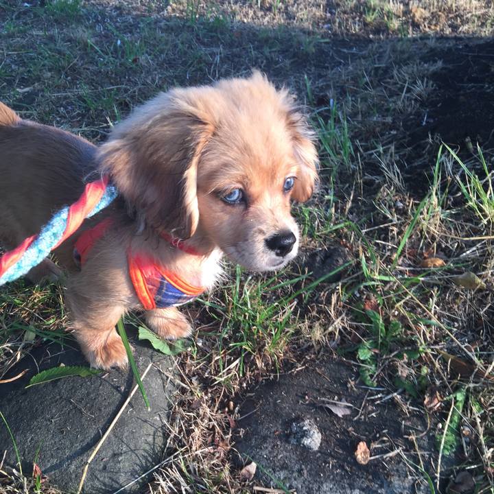 0ddc2eae 31dd 4541 a220 093a3d4ccb4b