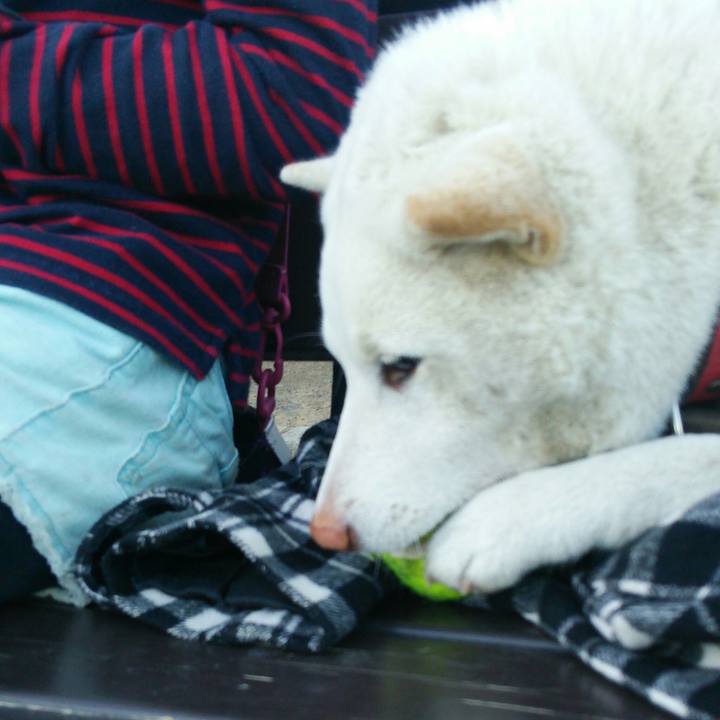 0ddc5827 4e5b 4865 ade1 1cf446515627