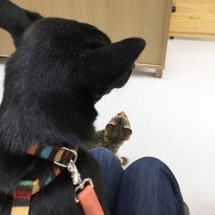 0ddc6cf6 09a5 4800 8664 a7bf8645e72b