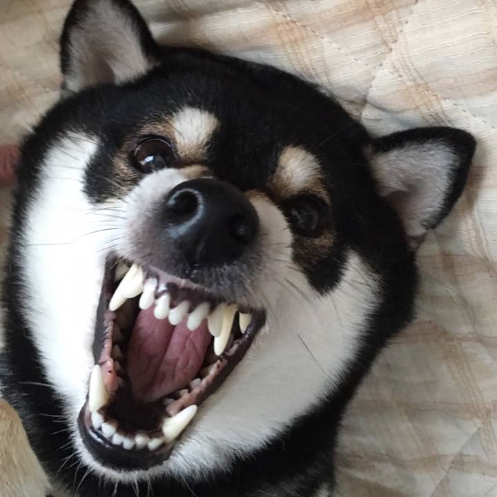 0ddc7ec2 4317 4f18 9174 db2ca8d827db