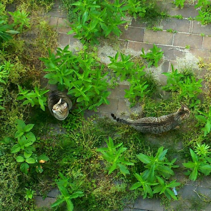 0ddca1c7 cf9c 4cd5 8226 fb06d2d2eea4