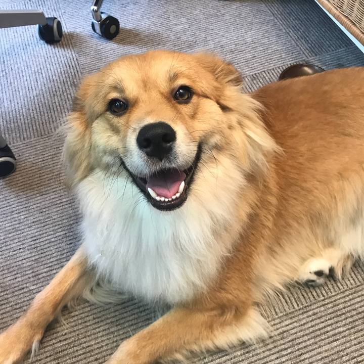 0ddcae45 ecf1 443f 9146 fa70d3448a44