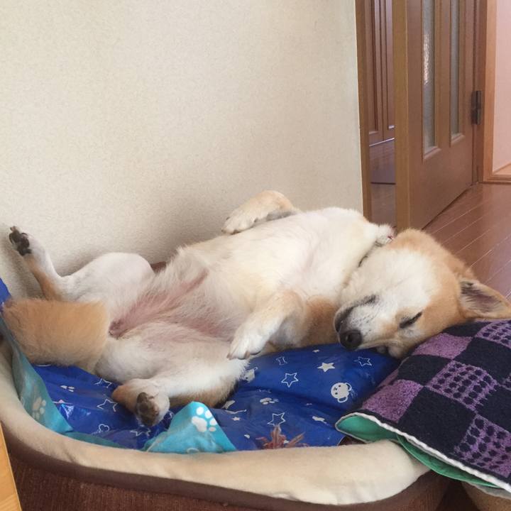 0ddd3048 ddb6 4cbc bb9b cd73ec4e3b70