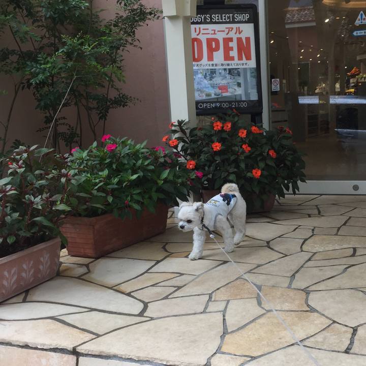 0ddd68b3 81ed 4ee1 86fd b5ccfdbf6820