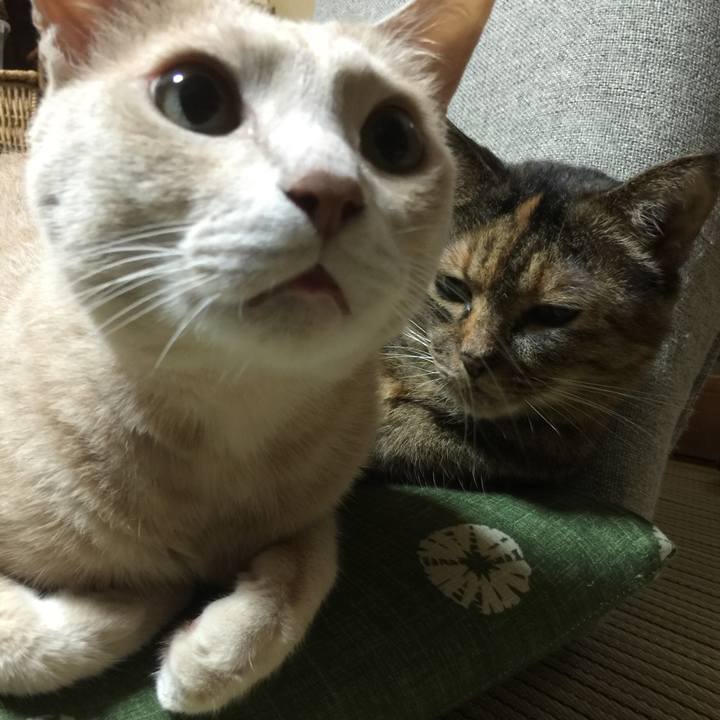 0dddce1e 6bff 4f79 80e0 545ae14c83be