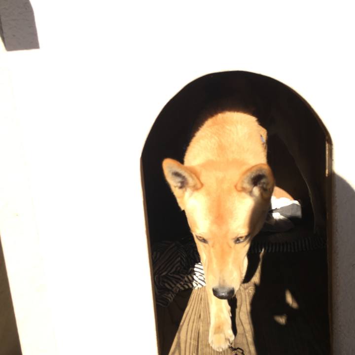 0dde731e 7762 496d 87bb 717817af55ff