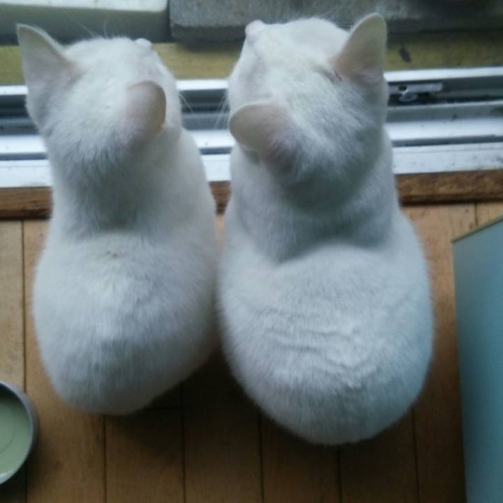 0dde7a10 998e 4241 a7d2 2d68e8957323