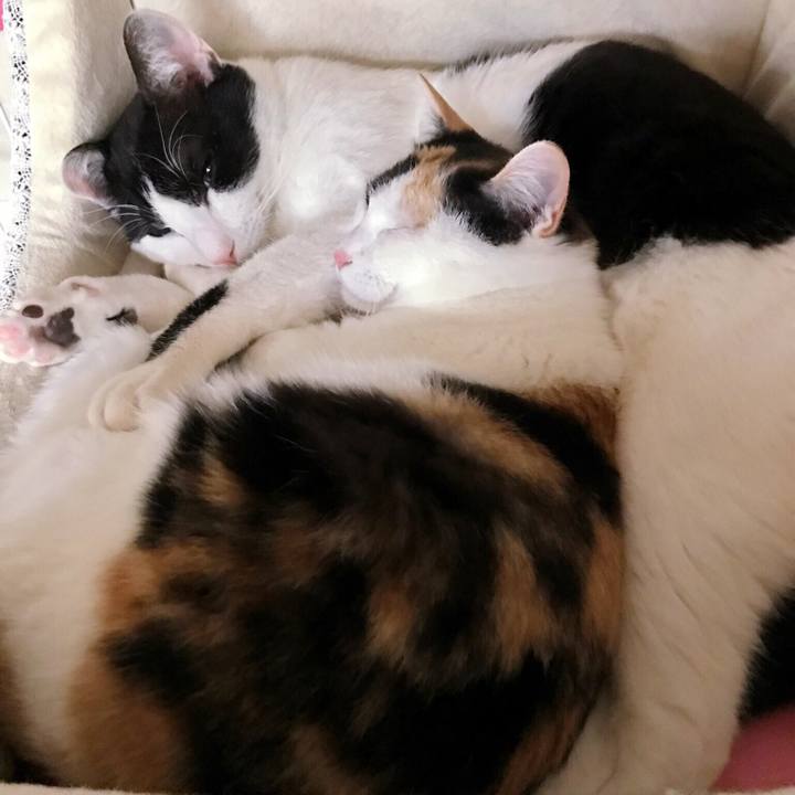 0ddecd05 73f7 4d93 940a 396302185c54