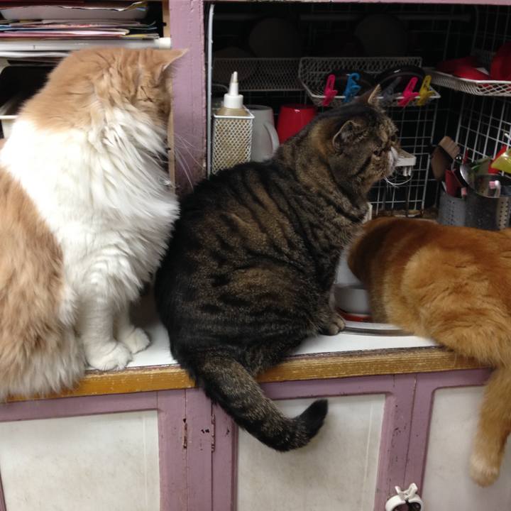 0ddef661 d9c6 4b5a a705 a865e2c0d01c