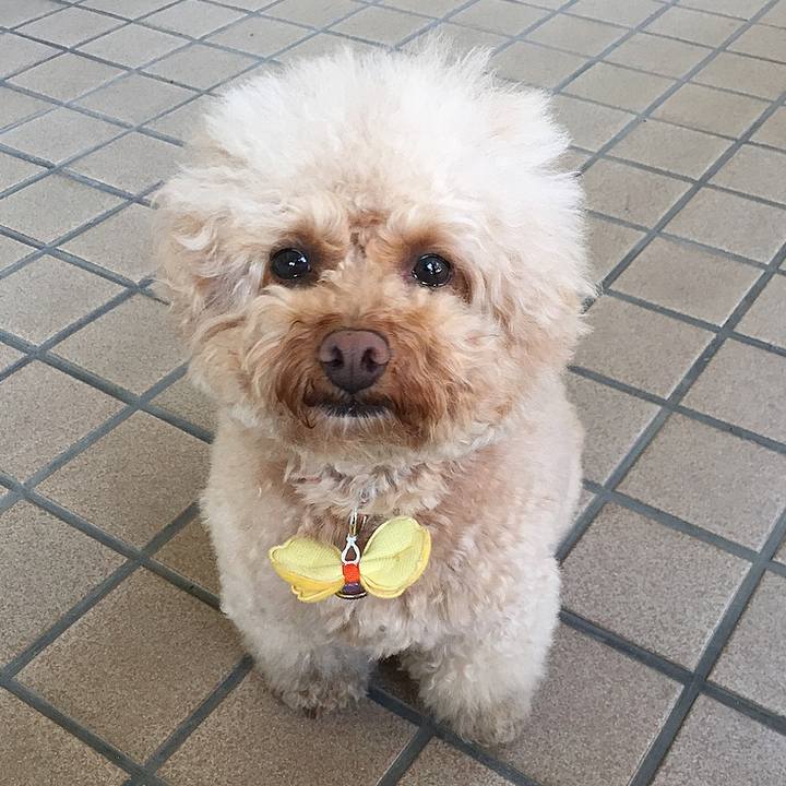 0ddf58c7 9c57 483b b344 e0d9c19a776e