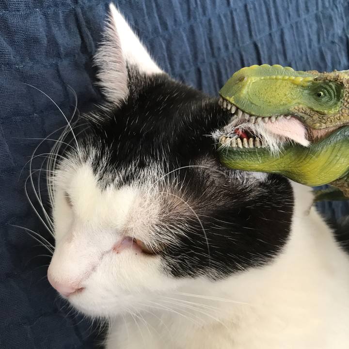 0ddf6730 53fe 40f5 bf4c e6852e8d8973